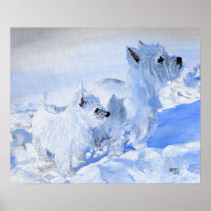 Poster Terriers West Highland White dans la Neige