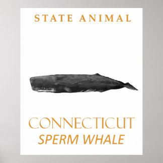 Poster Territoire du Connecticut Animal Physeter macrocep