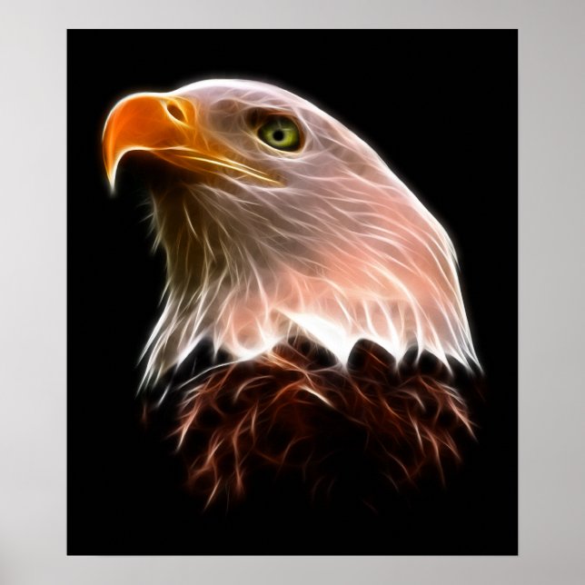 Poster Tête d'aigle à tête blanche américaine (Devant)