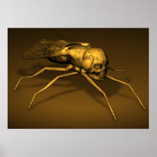 Poster Tête de bonification