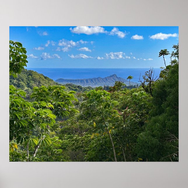 Poster Tête de diamant (Devant)