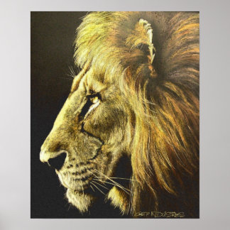 Poster Tête de lion