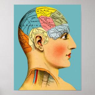 Poster Tête de phrénologie