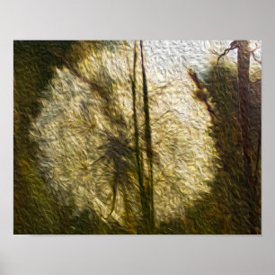 Poster Tête de semence de Dandelion (peinture à l'huile)