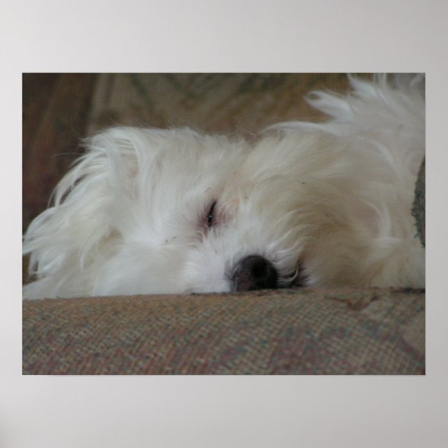 Poster Tête de sommeil (Devant)