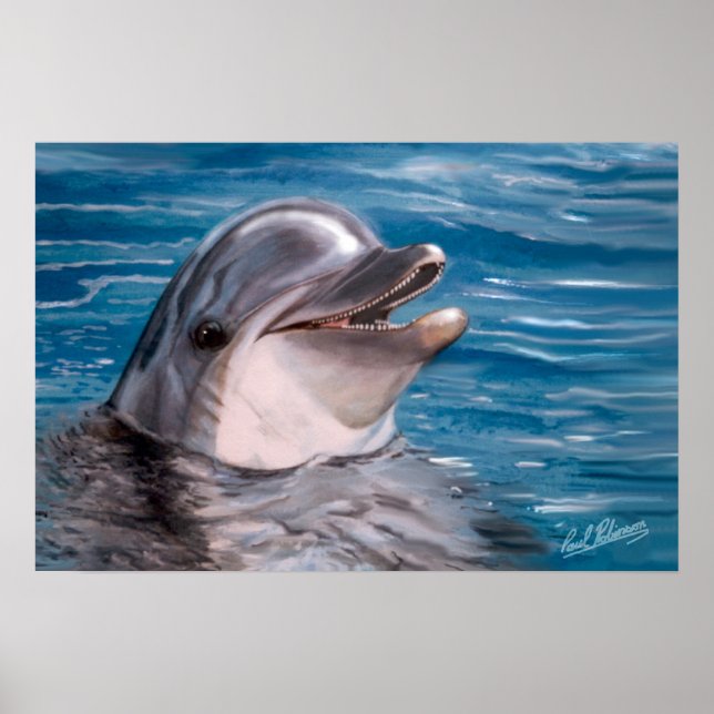 POSTER TÊTE DOLPHIN (Devant)