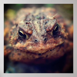 Poster Tête vers le haut
