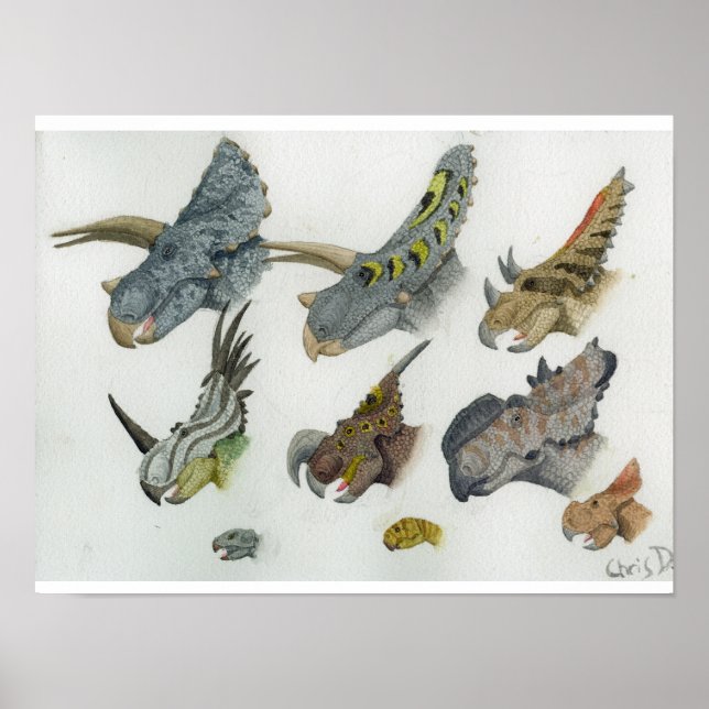 Poster Têtes de cératophe Imprimer (Devant)