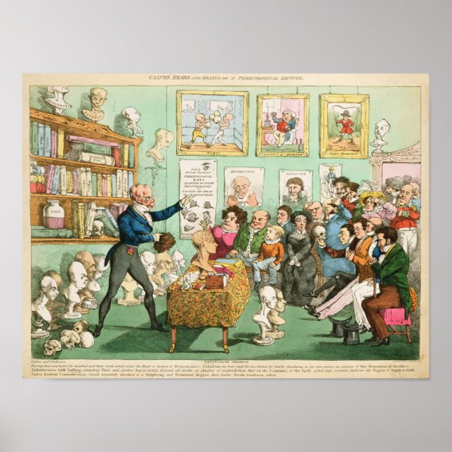 Poster Têtes et cerveaux des veaux; une Phrenologie (Devant)