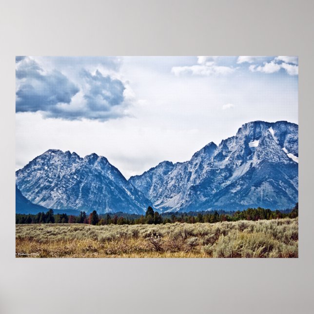 Poster Teton 6976 (Devant)
