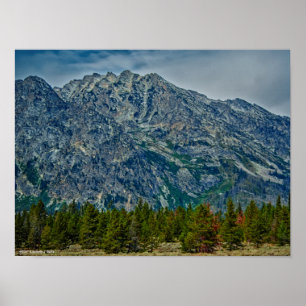 Poster Teton NP 6901