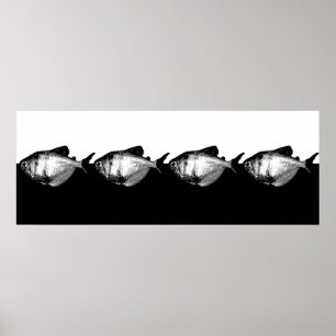 Poster Tétra école de jupe noire