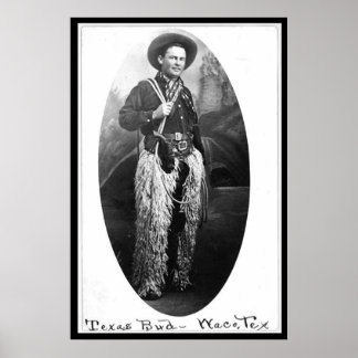 Poster Texas Bud