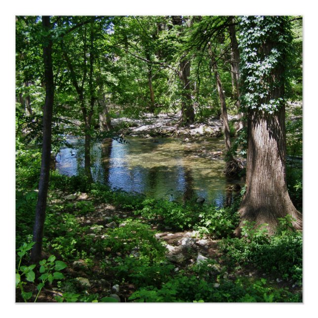 Poster Texas Cypress Creek Wimberley (Devant)