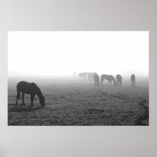Poster Texas Fog