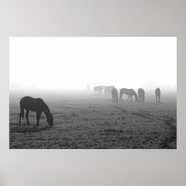 Poster Texas Fog (Devant)