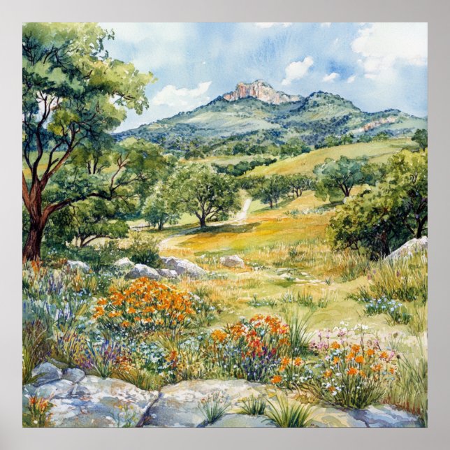 Poster Texas Hill Country (Devant)