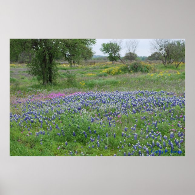Poster Texas Hill Country Print (Devant)
