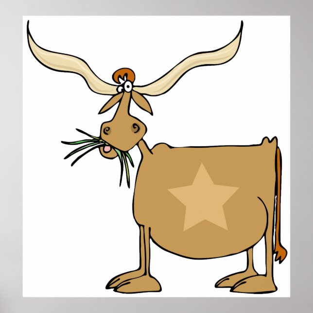 Poster Texas Longhorn Cow (Devant)