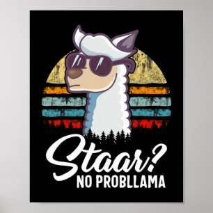 Poster Texas State Test Day Llama Alpaca pour les étudian