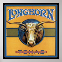 Texas Steer Longhorn