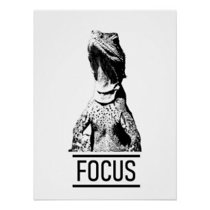 Poster Texte motivationnel de mise au point Lézard
