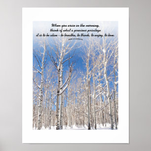 Poster Texte personnalisé Toures de trembles bleus dans l