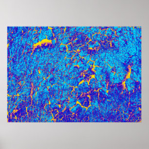 Poster Texture Abstraite distincte