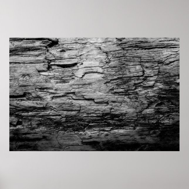 Poster Texture bois noir et blanc (Devant)