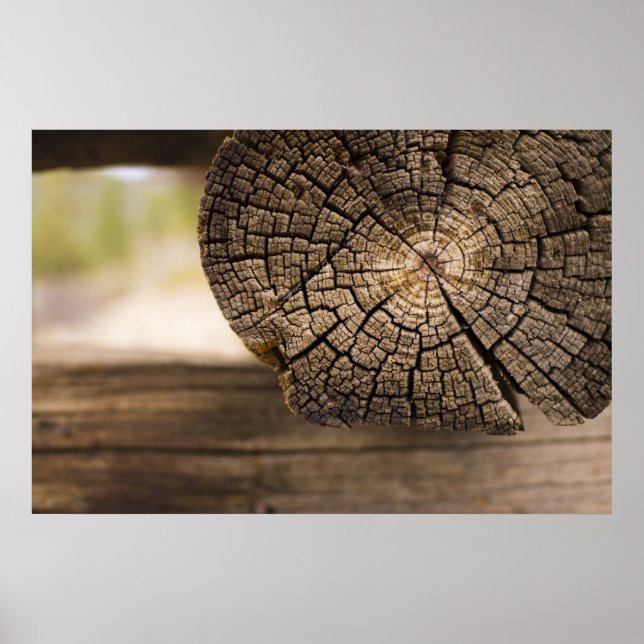 Poster Texture Cabine ancienne (Devant)