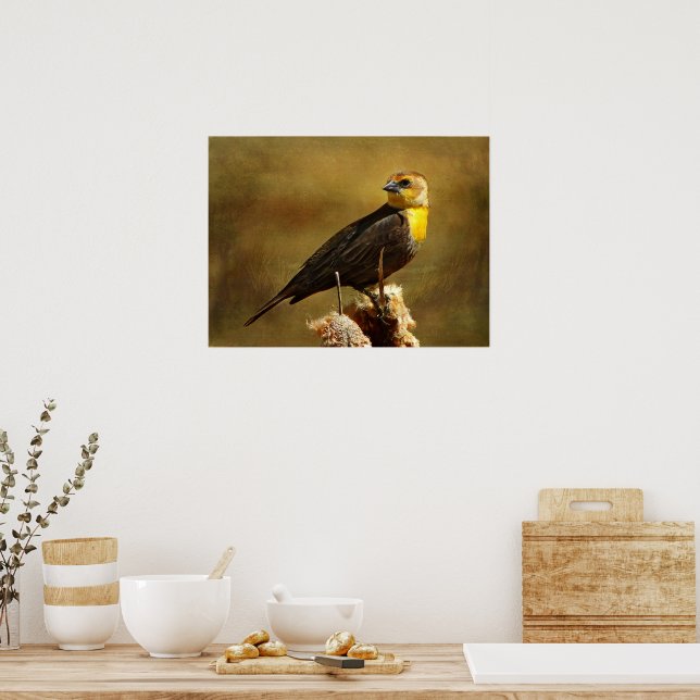 Poster Texturé Yell0w-head Blackbird encadré (Cuisine)