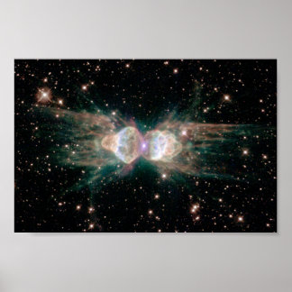 Poster The Ant Nebula