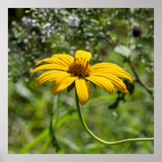 Poster The Bend Floral