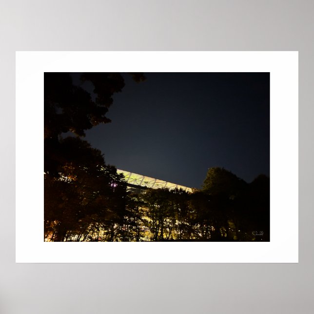 Poster "The Bosuil Stadium by Night" -  (Devant)