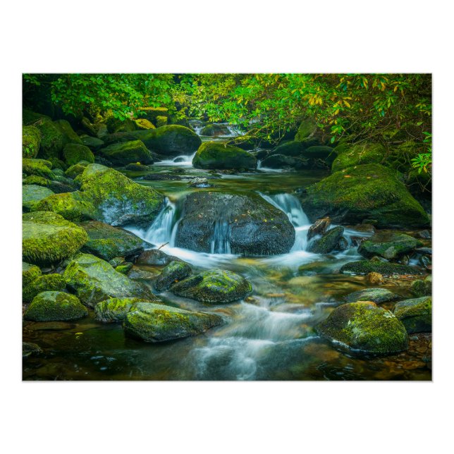 Poster The Emerald Flow of the Irish Brook (Devant)