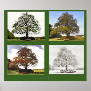 Poster The Four Seasons