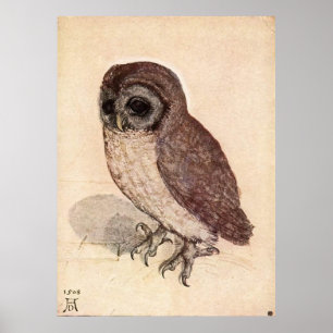 Poster The Little Owl by Albrecht Dürer