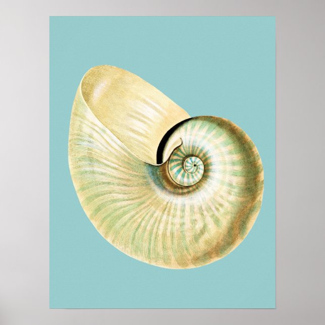 Poster Thème Plage Inspiré Zen (Devant)