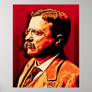 Poster Theodore Roosevelt