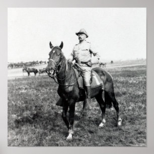 Poster Theodore Roosevelt