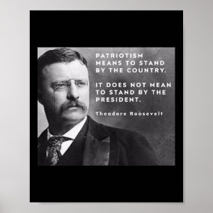 Poster Théodore Roosevelt Pro-démocratie Anti-trump Patri