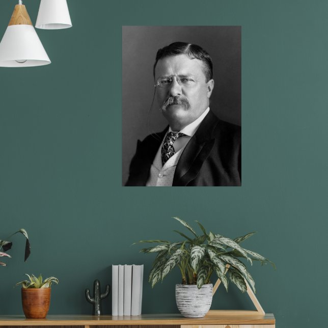 Poster Theodore Roosevelt Teddy Président républicain (Salon 1)