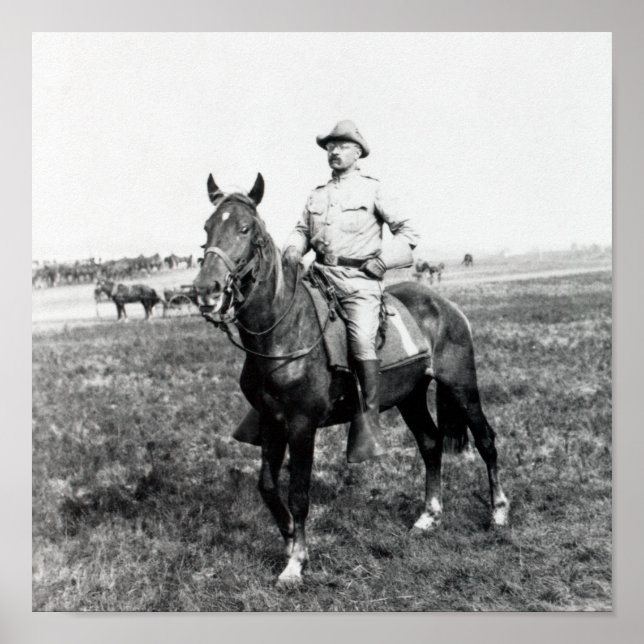 Poster Theodore Roosevelt - The Rough Rider - 1898 (Devant)