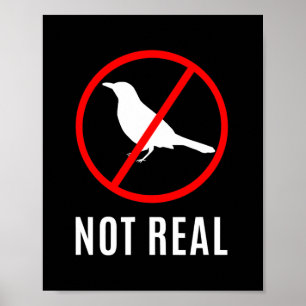 Poster Théorie Drôle De Conspiration Les Oiseaux Sont Un