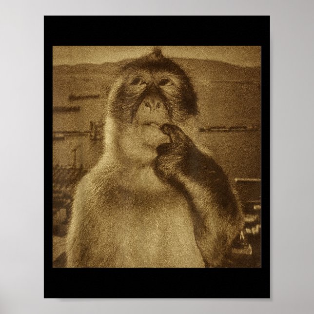Poster Thinking Monkey Meme Vintage Retro  (Devant)