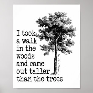 Poster Thoreau Arbres Citation Nature - Promenade Dans Le