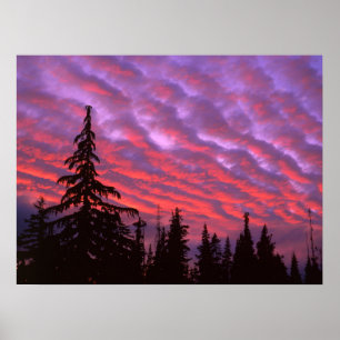 Poster Three Sisters Wilderness, Oregon