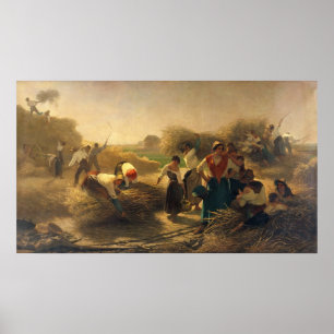 Poster Threshing Rapeseed in the Fields of Lille