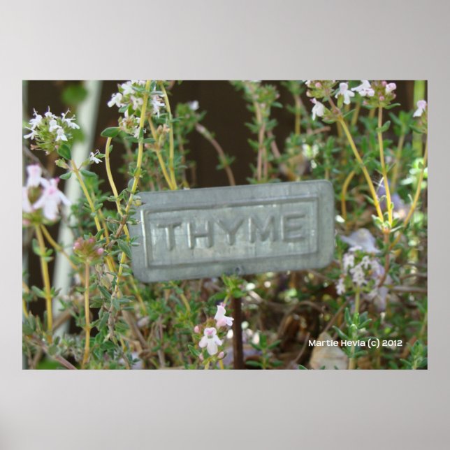 Poster Thyme (Devant)