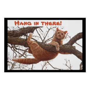 Poster Tiens bon ! - Le chat gingembre serré
